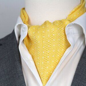 Men’s Silk Ascot Tie Cravat Silk Blend Day Wear Formal Wedding A239
